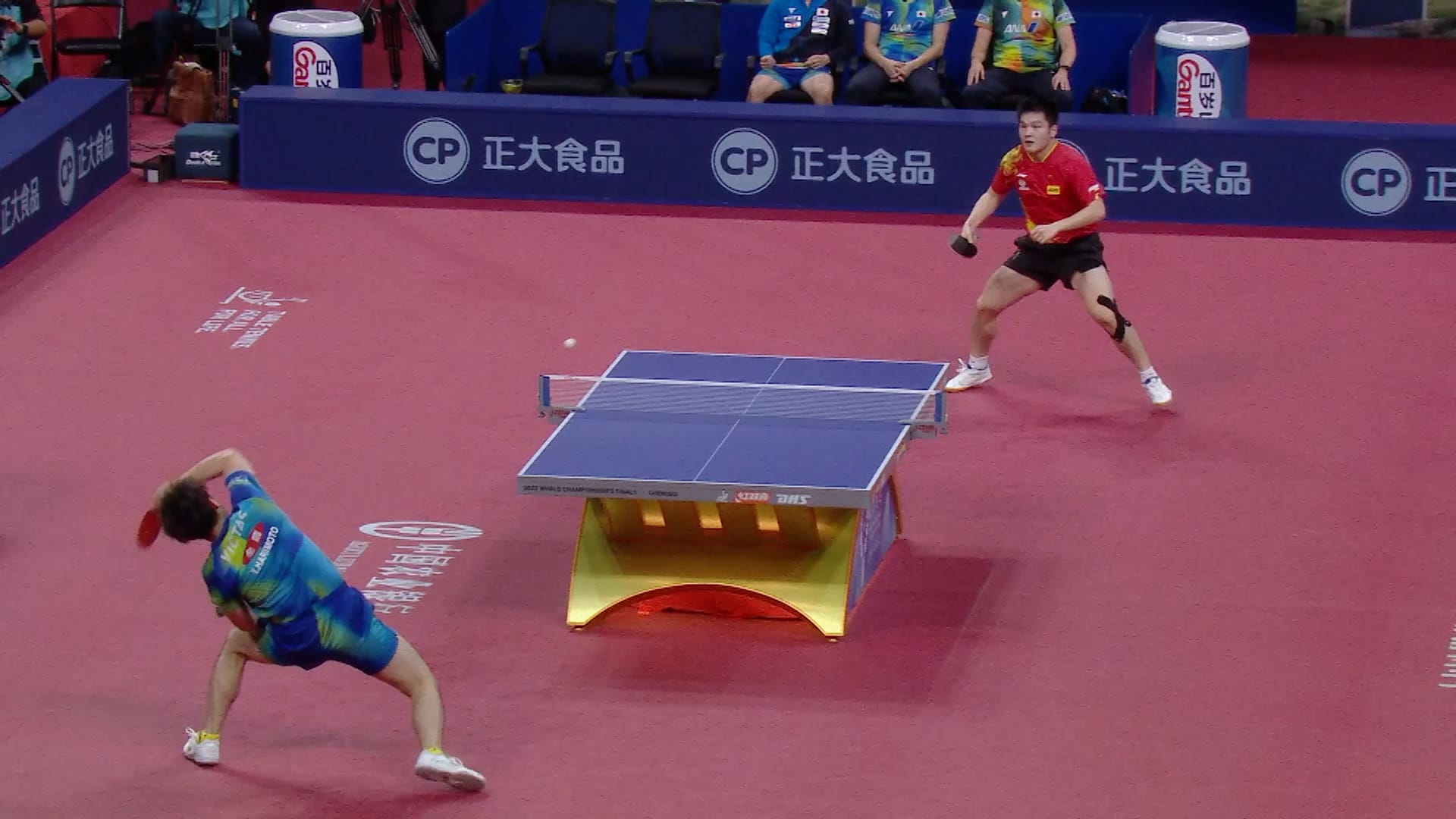 World Team Table Tennis Championships 2022: Men's team wins opener, Women's  go down fighting to Germany