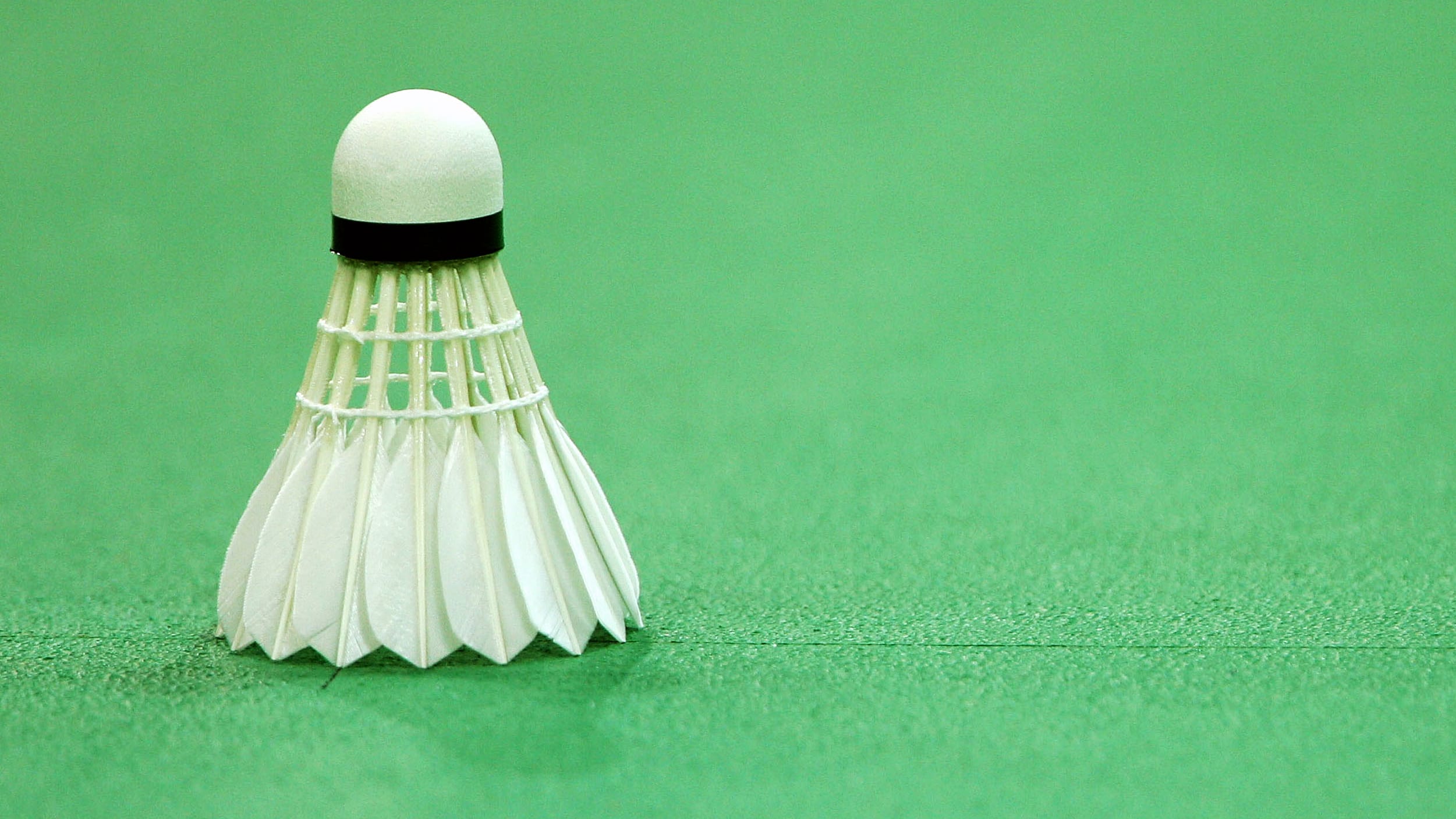 How to play badminton: rules, scoring system and equipment