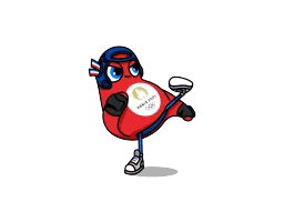 Mascot of Taekwondo