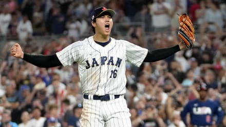 【2023年MVPシーズン】大谷翔平 実使用ボール (VSヨルダン・アルバレス) 49012-77-