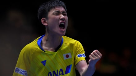 卓球 張本智和選手 直筆サインボール CVITNNXT 卓球・張本智和が