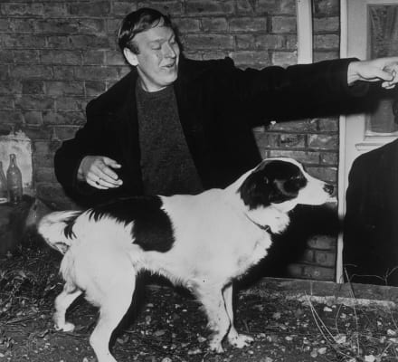 Pickles, the dog who found the stolen FIFA World Cup in 1966, with owner David Corbett.