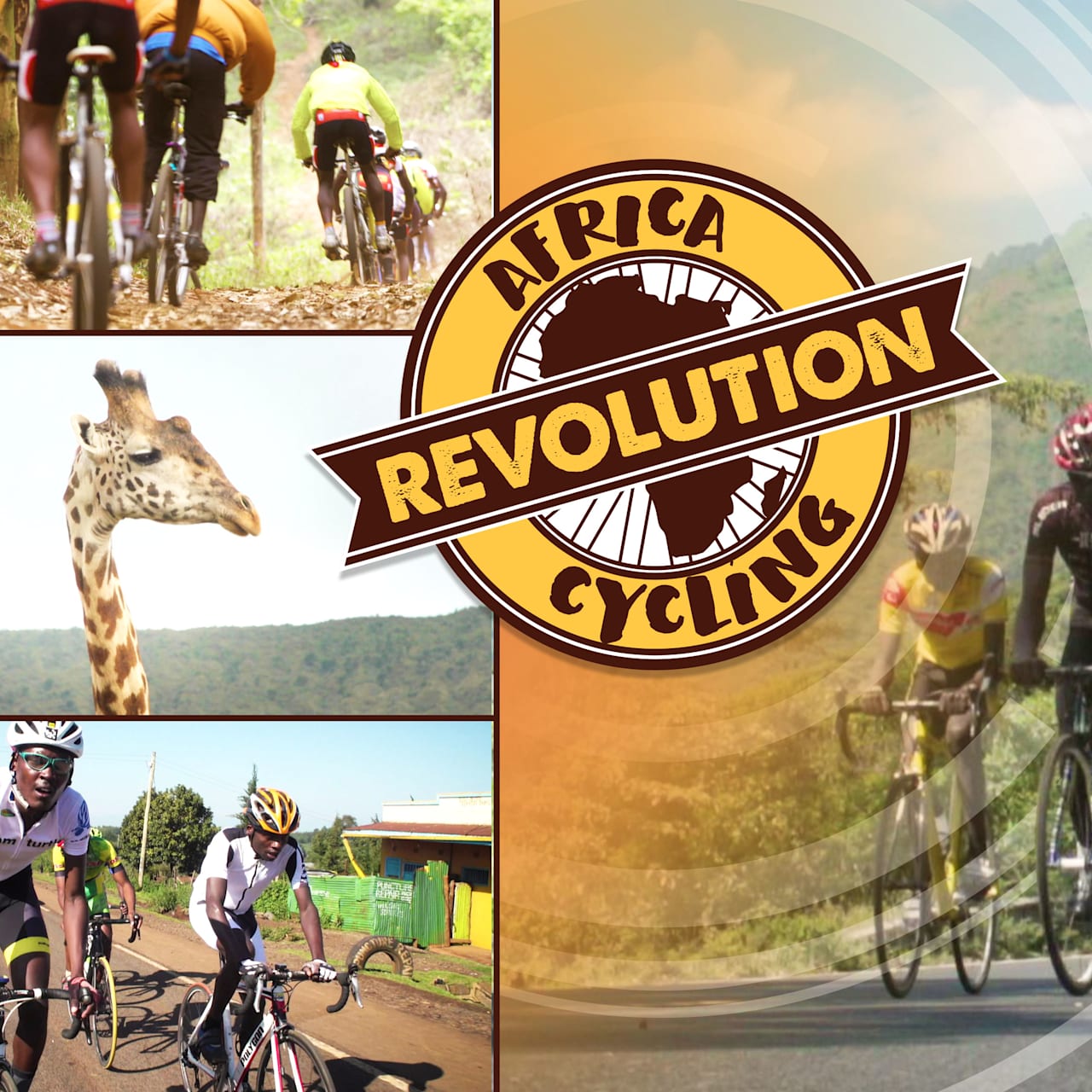 Revolution discount velo racing