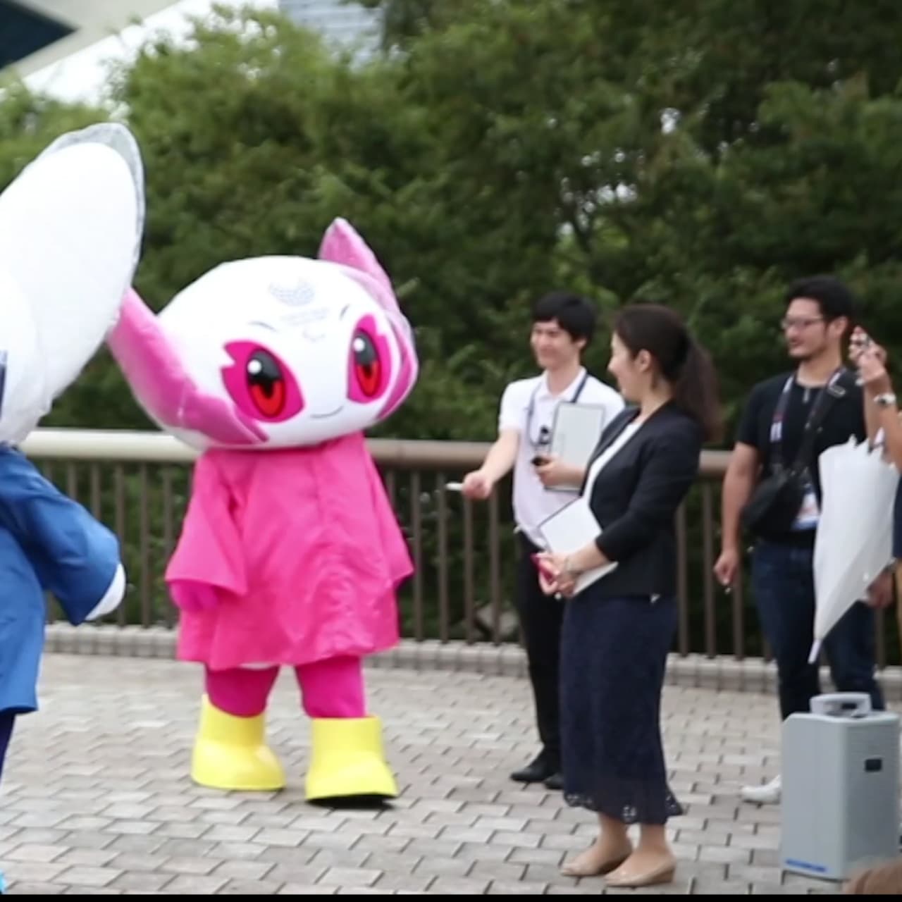 ホーヘンバント ミライトワとソメイティが防水仕様でアクアティクスセンターを訪問