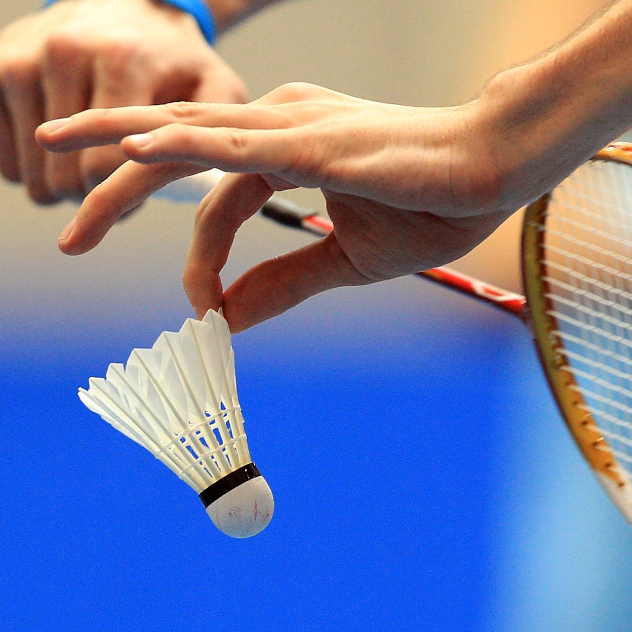 Sport guide All about Badminton