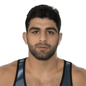 Mohammadhadi SARAVI