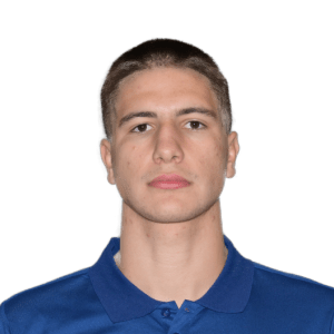 Andrei TEPELUS