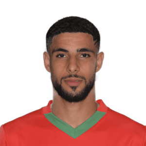 Mehdi MAOUHOUB
