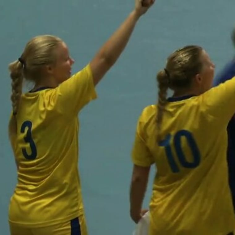 China vs Sweden - Handball | Nanjing 2014 Highlights