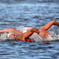How to qualify for marathon swimming at Paris 2024. The Olympics qualification system explained
