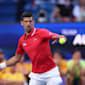 Australian Open 2024: confira o possível caminho de Novak Djokovic até a final