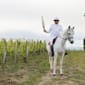 Spotlight on vineyards and sports in Bordeaux and Libournais!