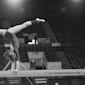 Cпортивная гимнастика: вид спорта, история, правила, звезды