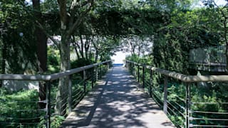 20200825_hitachi_seaside_park_09_tpaflx