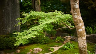 20200618_hasedera_temple_20_pea1xa