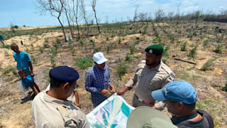 other-news-olympic-forest-india