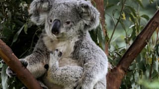 b32pgt-the-games-text-image-story-20