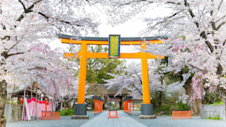 20200404_hirano_shrine_06_py75gt