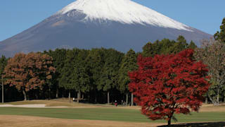 Mount Fuji