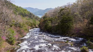 jomc_p_tochigi_0000137