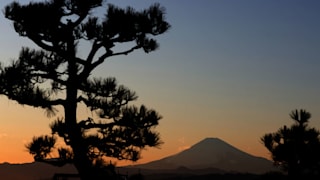 GettyImages-1202935385