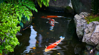 20200618_hasedera_temple_51_quohco