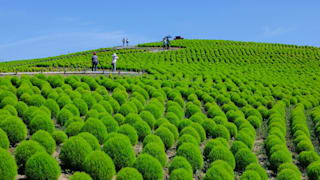 20200825_hitachi_seaside_park_24_urb8kw
