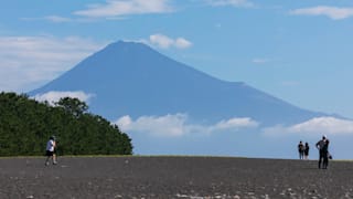 20200811_mihonomatsubara_pine_grove_24_v8i4wq