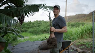 John John Florence gardening at home in Hawaii