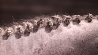 Equestrian - Olympics: Day 11