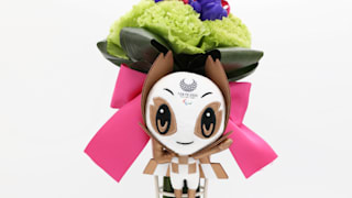 Paralympic-victory-bouquet-bronze