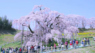 jomc_p_fukushima_0000171