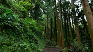 20200914_mt_nokogiri_46_kuhqkk