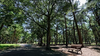 20200825_hitachi_seaside_park_46_xybkcw