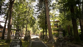 20200905_erinji_temple_18_yt11oy