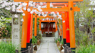 20200404_hirano_shrine_09_d91qc1