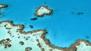 b32pgt-homepage-text-image-story-7