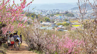 jomc_p_fukushima_0000145