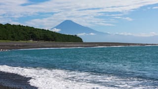 20200811_mihonomatsubara_pine_grove_21_upabhj