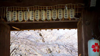 20200404_hirano_shrine_37_uaurq0