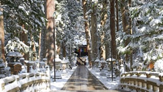 jomc_p_wakayama_0000352