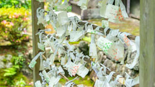 20200622_sanzenin_temple_23_avfeke