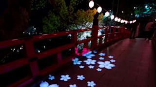 20200403_okazakijo_50_y4kikl