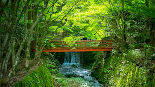 20200622_sanzenin_temple_11_msetp2