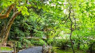 20200528_fugetsuro_20_nmxdim