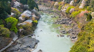 20200403_arashiyama_38_hubi5r