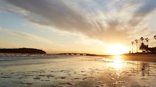 jomc_p_miyazaki_0000045