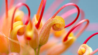 b32pgt-the-games-text-image-story-21