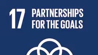 sdg-17