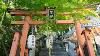 20200719_tarobo_shrine_15_dv6ilm